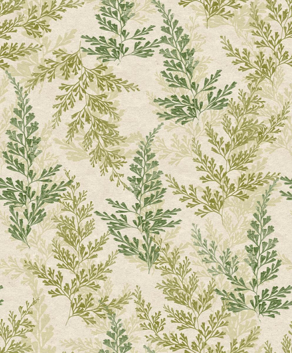 CARTA DA PARATI ECODECO/FOLIAGE GREEN