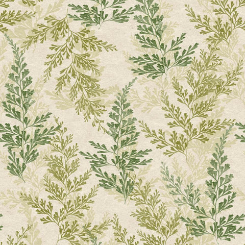 CARTA DA PARATI ECODECO/FOLIAGE GREEN