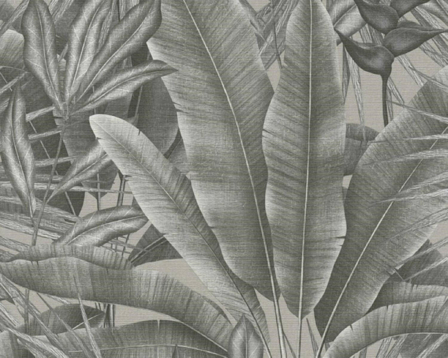 CARTA DA PARATI PVC /TNT FOLIAGE GREY