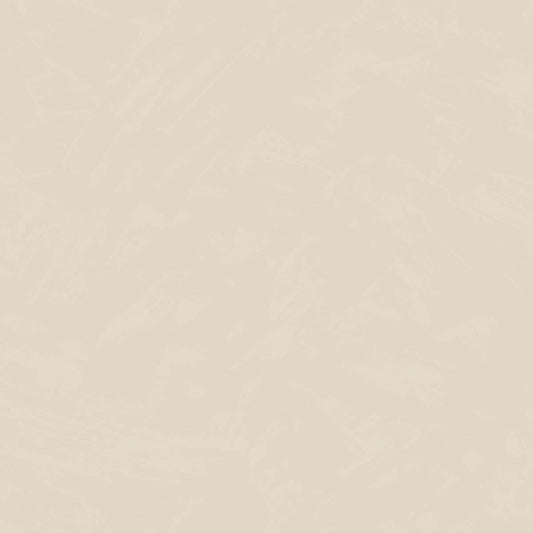 CARTA DA PARATI  PVC/TNT /UNITO BEIGE