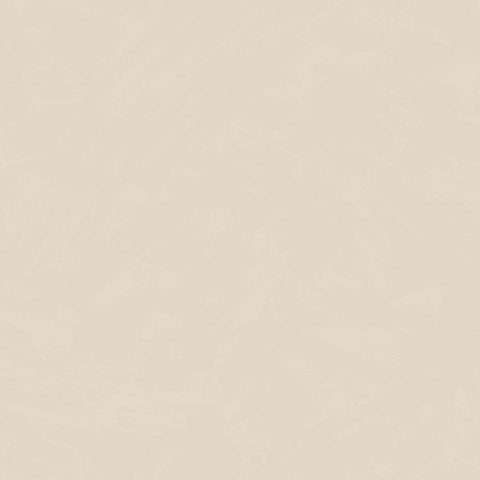 CARTA DA PARATI  PVC/TNT /UNITO BEIGE