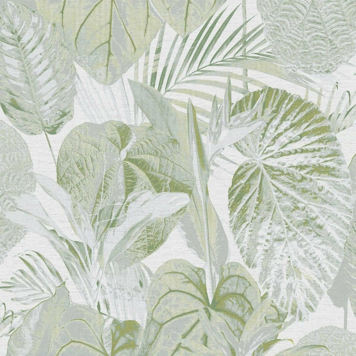CARTA DA PARATI  PVC /TNT FOLIAGE GREEN