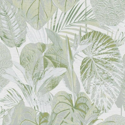 CARTA DA PARATI  PVC /TNT FOLIAGE GREEN