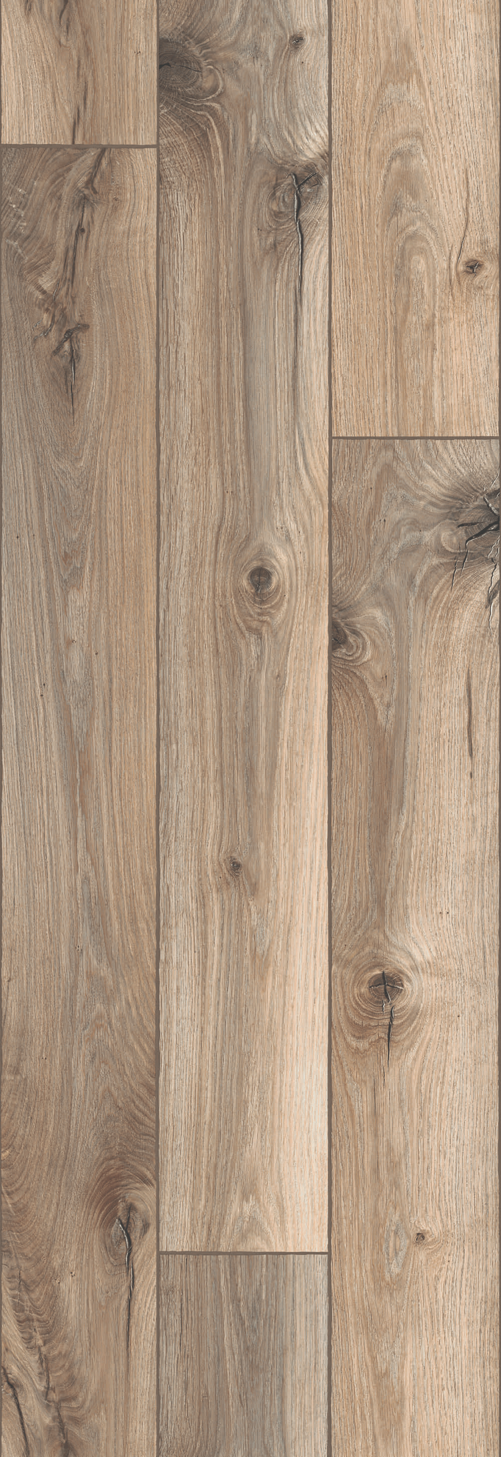 PARATO FRIENDS 2434863 VINILICO 10MT X 0,53MT - dekorhouse