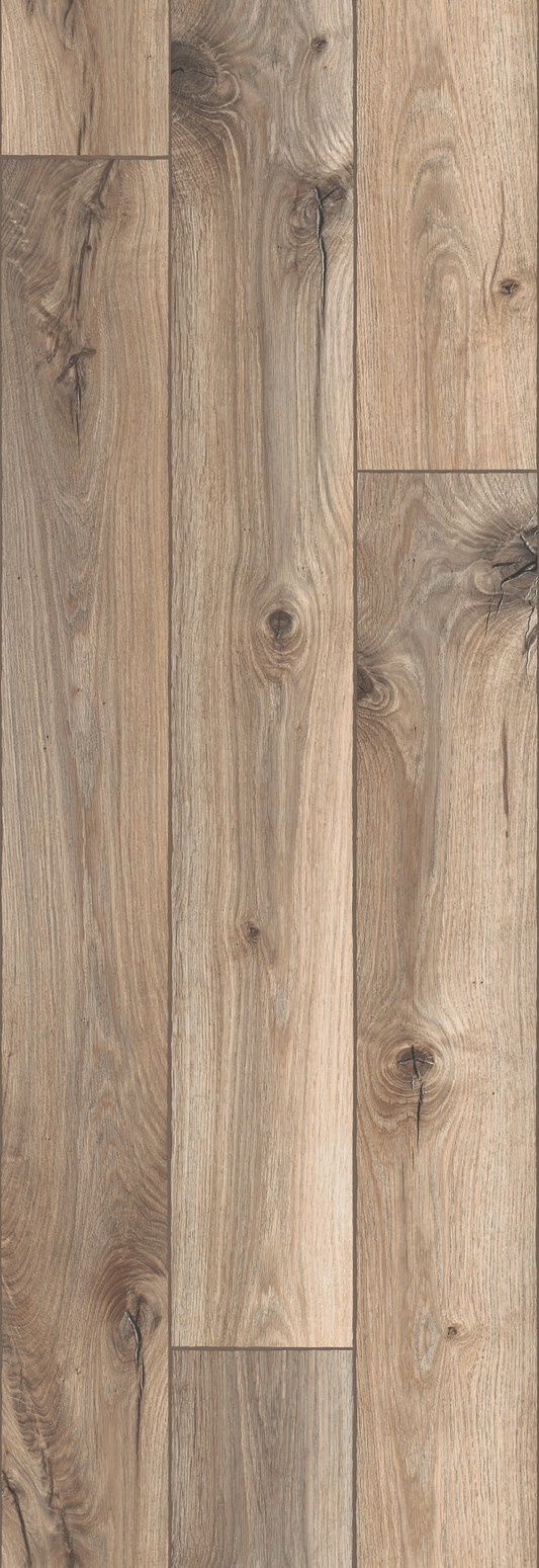 PARATO FRIENDS 2434863 VINILICO 10MT X 0,53MT - dekorhouse